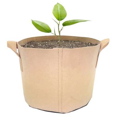 40 gallon amazon whole sale tan green color nonwoven mushroom tree planter fabric pots felt grow bags for vegetable with handle