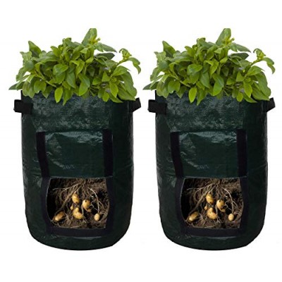 45Litre Dark Green PP woven planter bag with handle