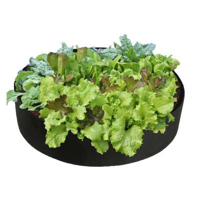 100 gallon round square rectangle long bed greenhouse garden breathable mushroom vegetable growing pots planter fabric grow bags