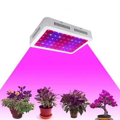 300w 600w 1000w COB Led Grow Light